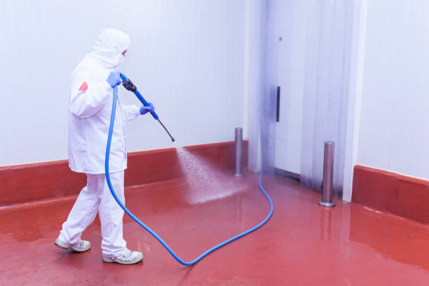 Professional Pressure Washing Services in Englewood, FL